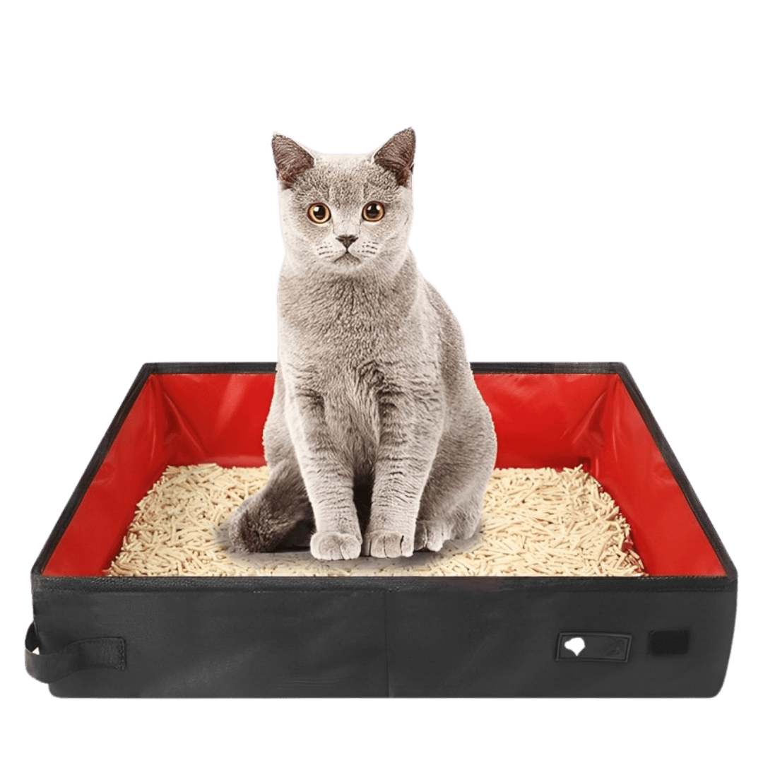 Portable Litter Box - MaoMao - Paws
