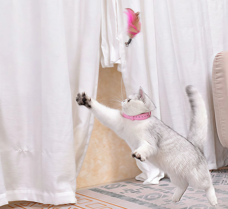 Cats Go Crazy for This Collar Toy!