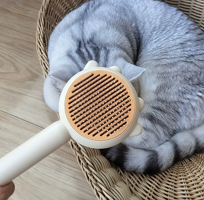 Finally a Brush My Dog Actually Likes!