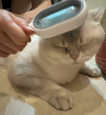 Finally a Brush That Doesn’t Scare My Skittish Cat!
