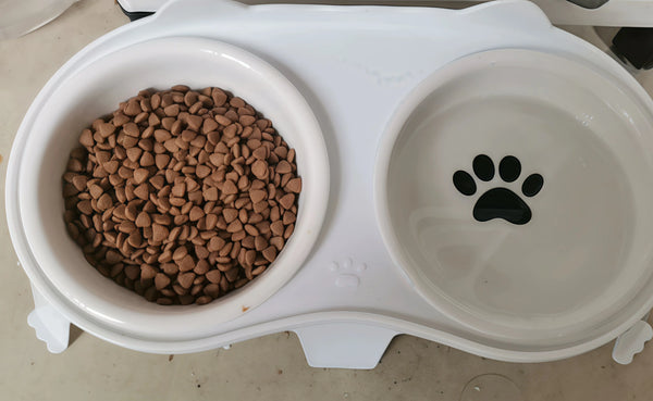 Game-Changer for My Senior Cat