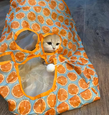 Cute & Perfect for Curious Kittens!