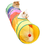 Rainbow Tunnel - MaoMao - Paws