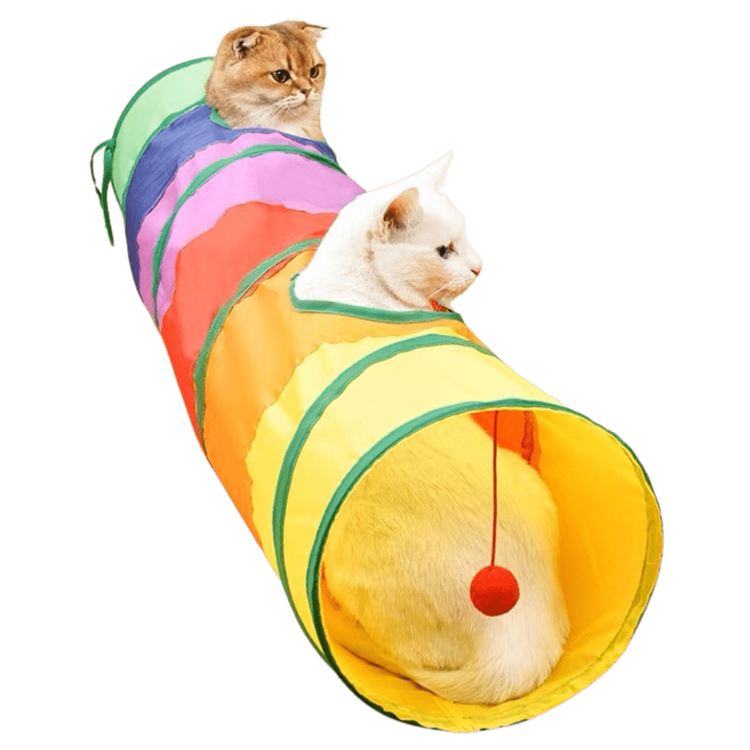 Rainbow Tunnel - MaoMao - Paws