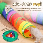 Rainbow Tunnel - MaoMao - Paws