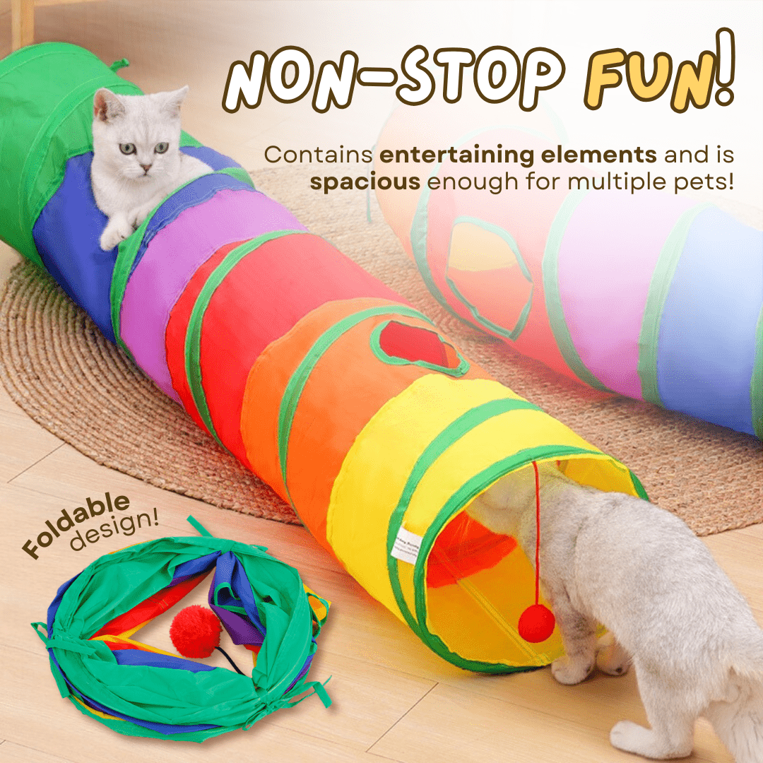 Rainbow Tunnel - MaoMao - Paws