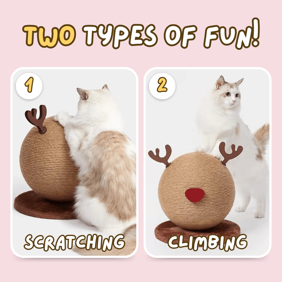 Reindeer Scratcher - MaoMao - Paws