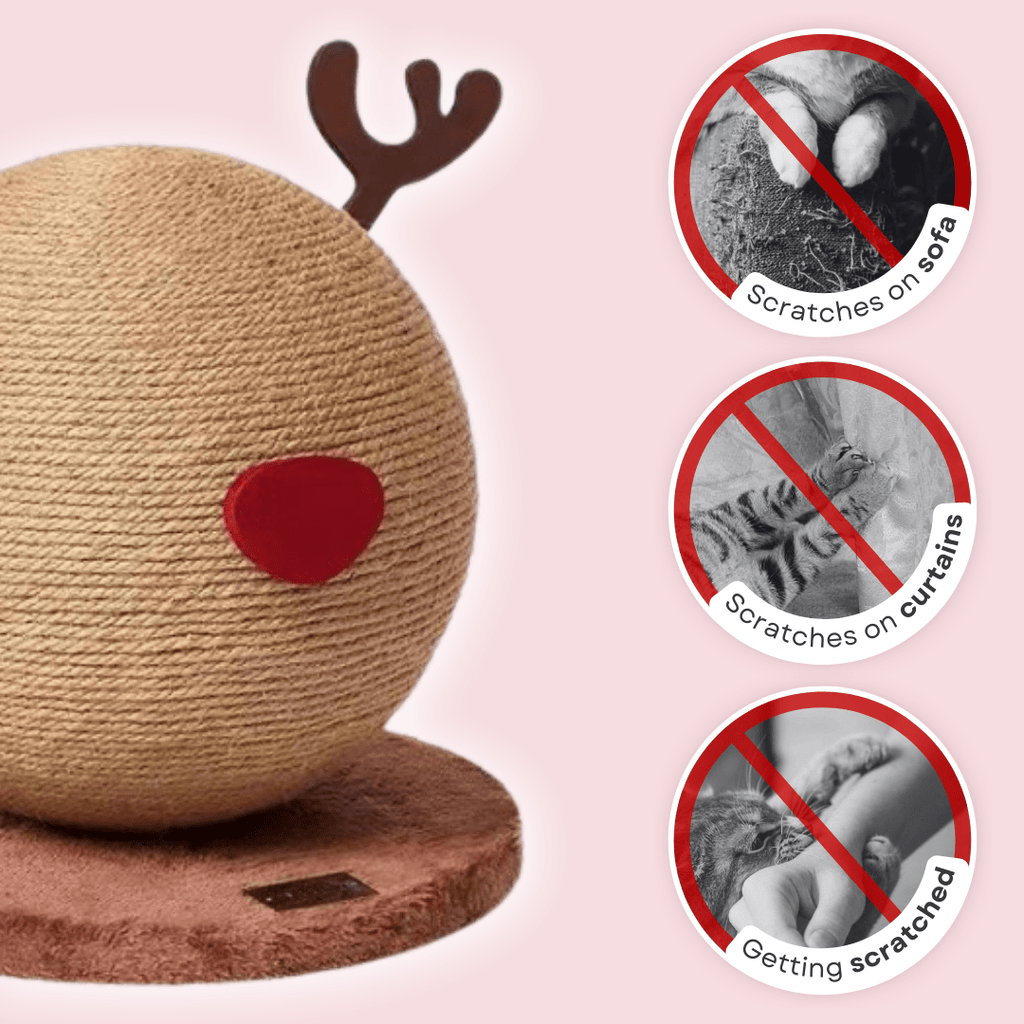 Reindeer Scratcher - MaoMao - Paws