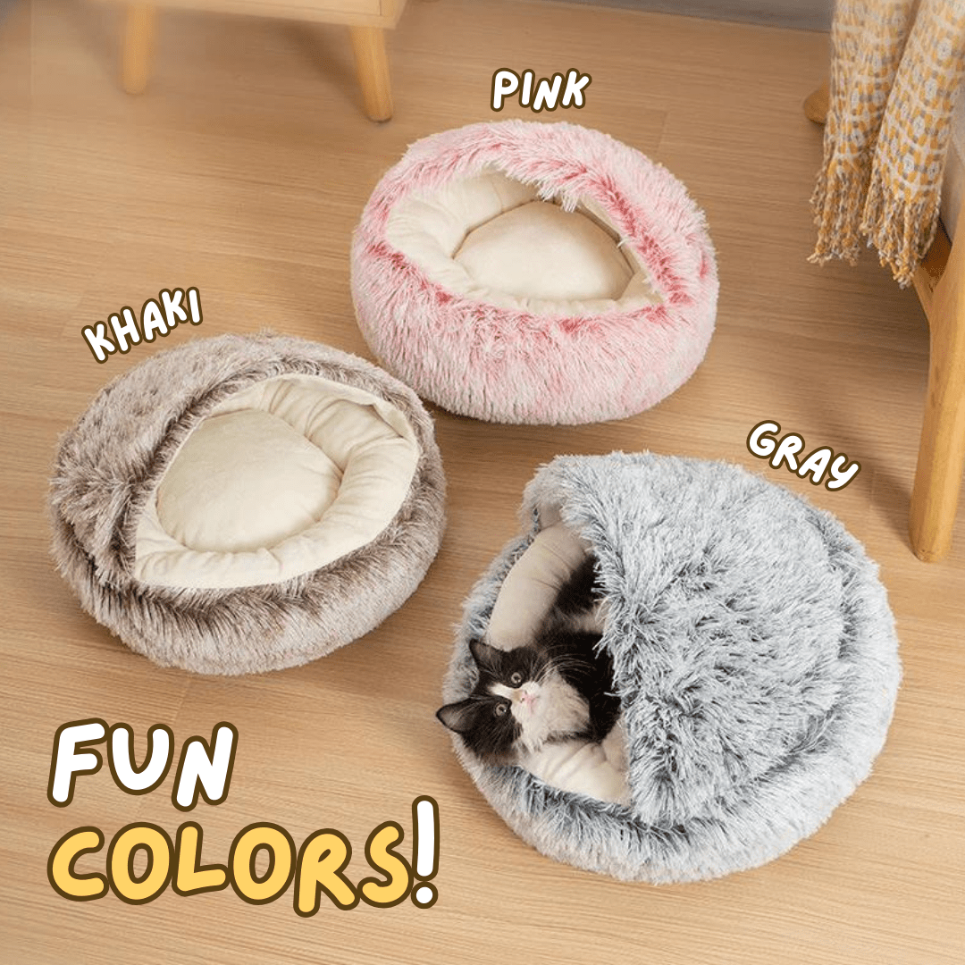 Seashell Bed - MaoMao - Paws