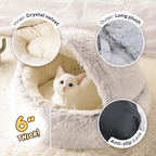 Seashell Bed - MaoMao - Paws