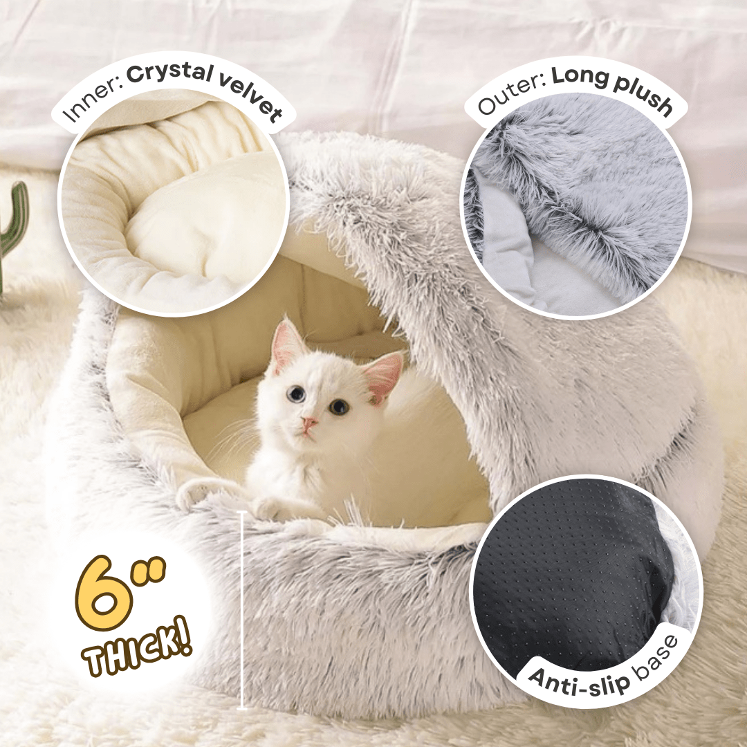 Seashell Bed - MaoMao - Paws