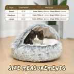 Seashell Bed - MaoMao - Paws