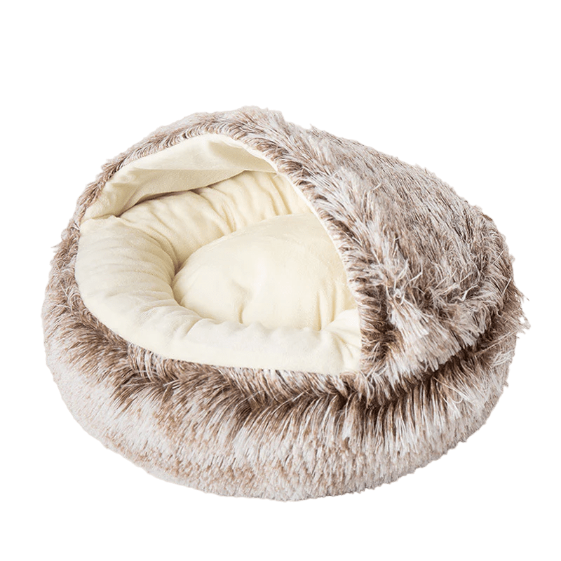 Seashell Bed - MaoMao - Paws