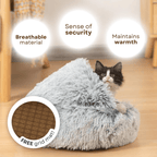 Seashell Bed - MaoMao - Paws