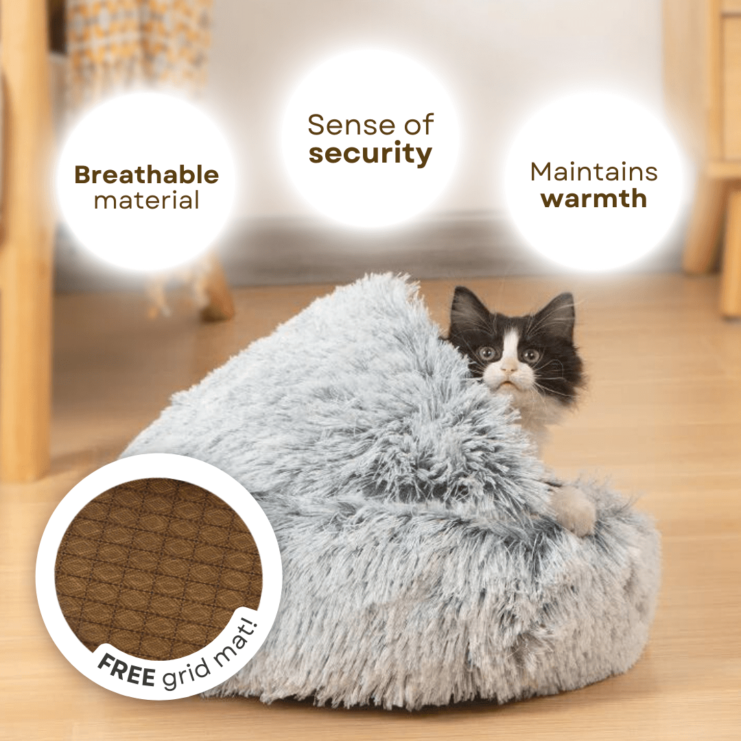 Seashell Bed - MaoMao - Paws