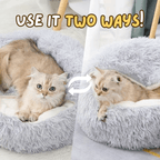 Seashell Bed - MaoMao - Paws
