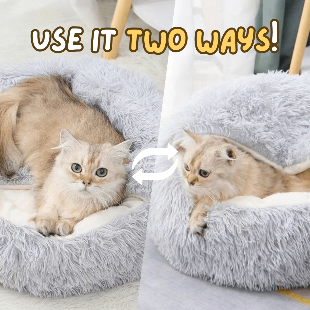 Seashell Bed - MaoMao - Paws
