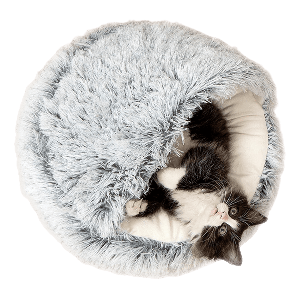 Seashell Bed - MaoMao - Paws
