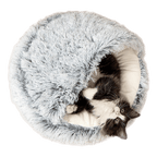 Seashell Bed - MaoMao - Paws