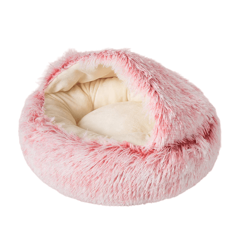 Seashell Bed - MaoMao - Paws