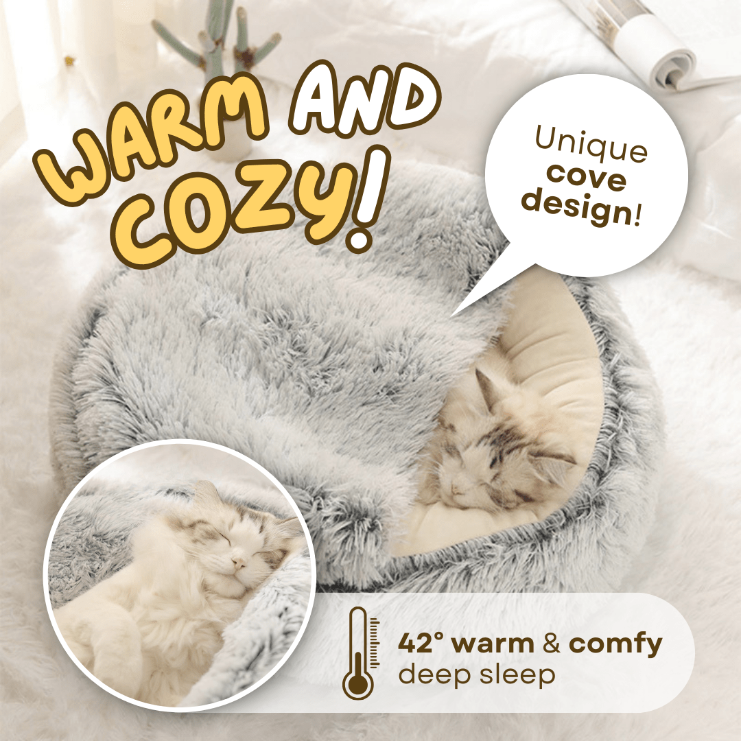 Seashell Bed - MaoMao - Paws