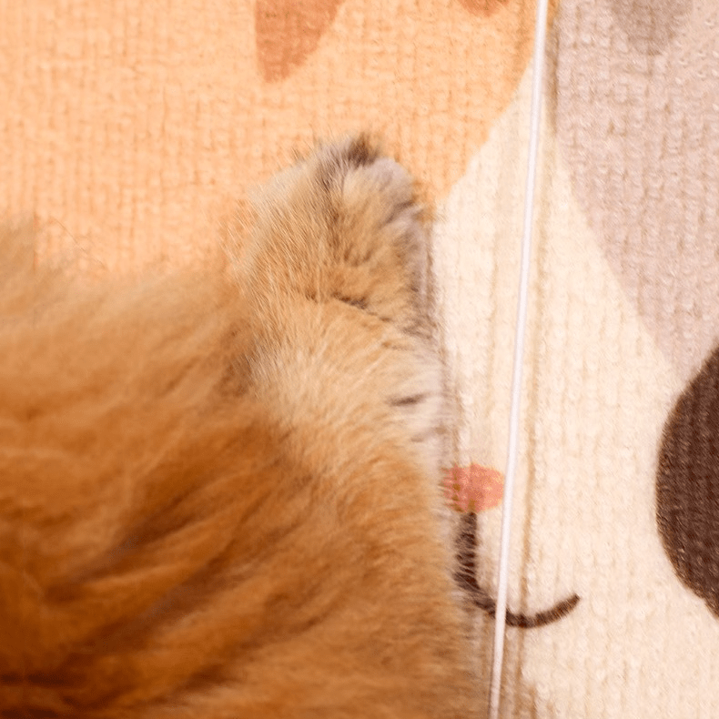Slim Cat Scratcher - MaoMao - Paws