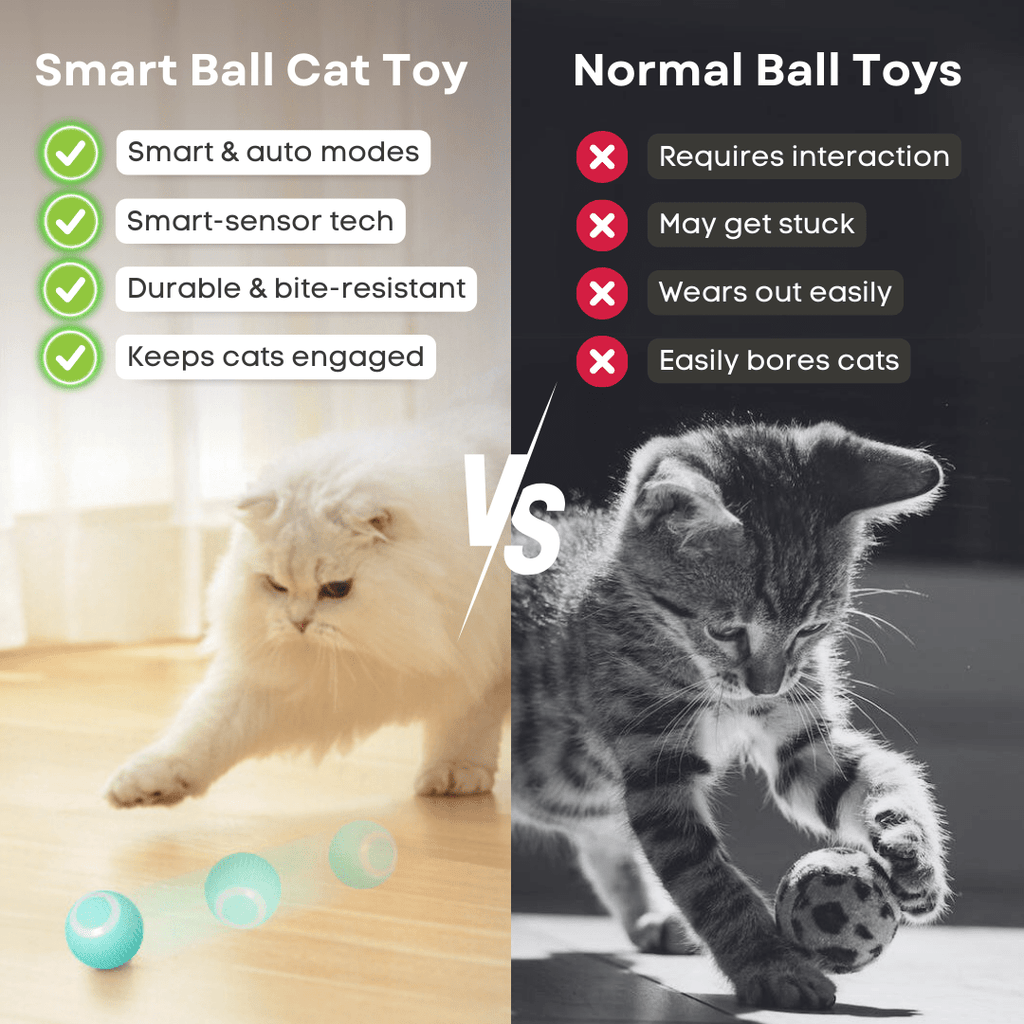 Smart Ball Cat Toy - MaoMao - Paws