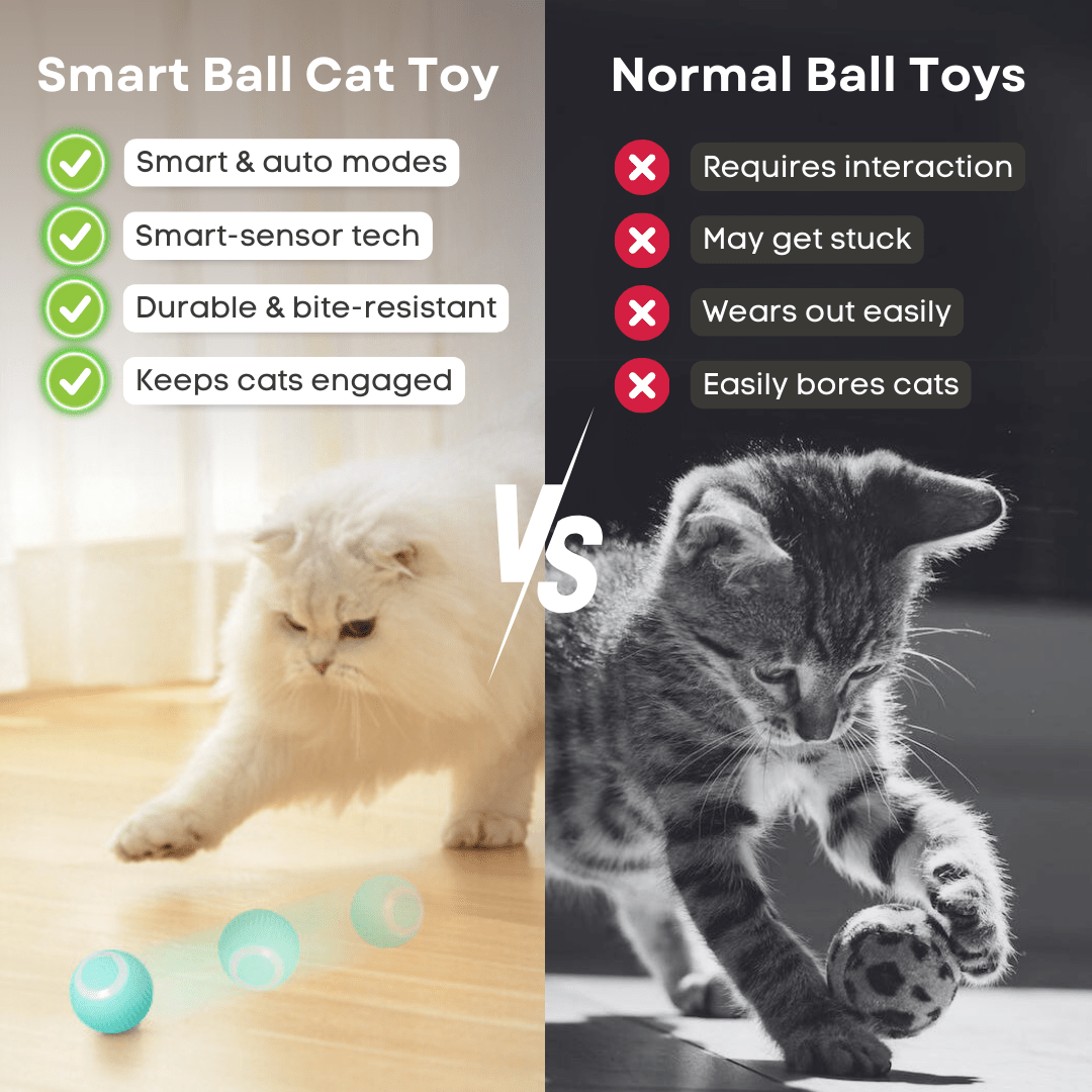 Smart Ball Cat Toy - MaoMao - Paws