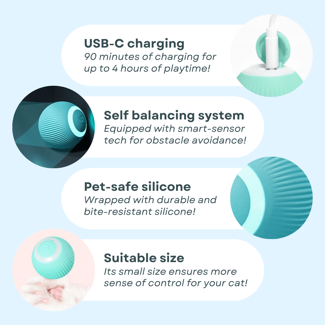Smart Ball Cat Toy - MaoMao - Paws