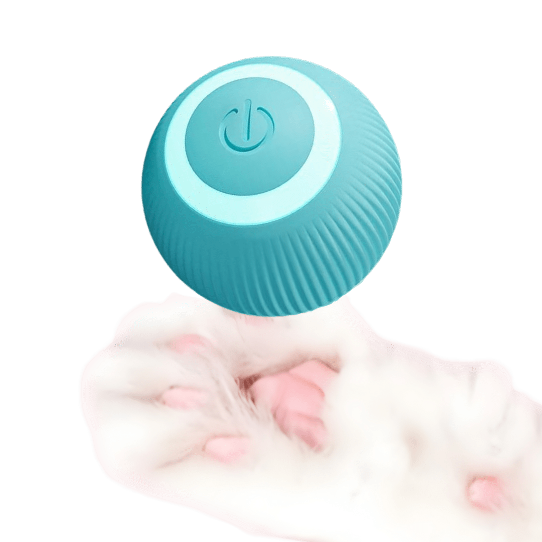 Smart Ball Cat Toy - MaoMao - Paws