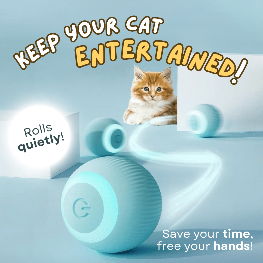 Smart Ball Cat Toy - MaoMao - Paws