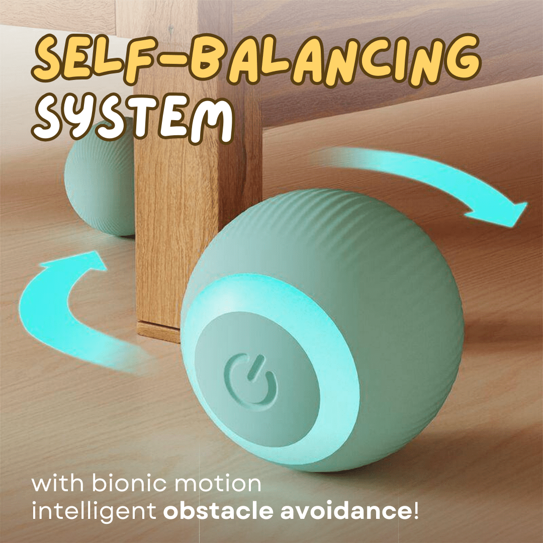 Smart Ball Cat Toy - MaoMao - Paws