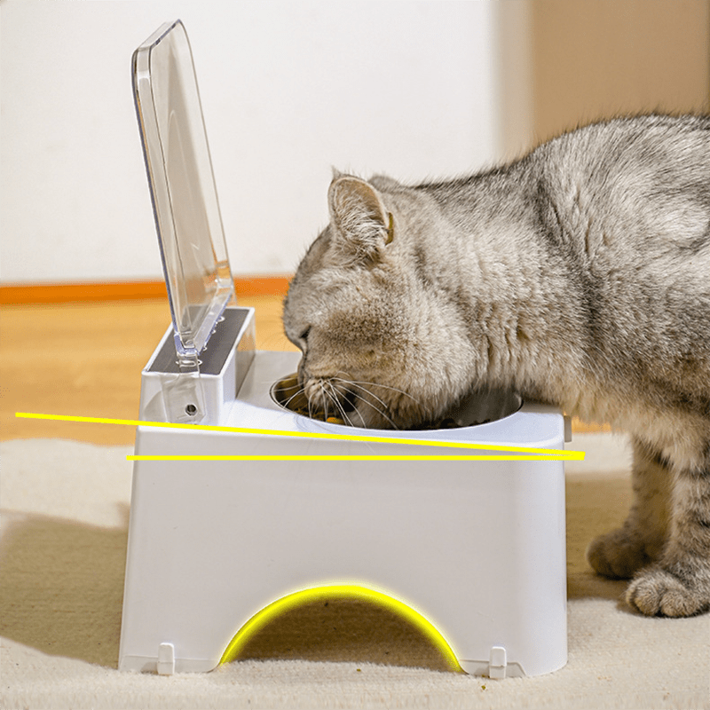 Smart Cat Feeder - MaoMao - Paws