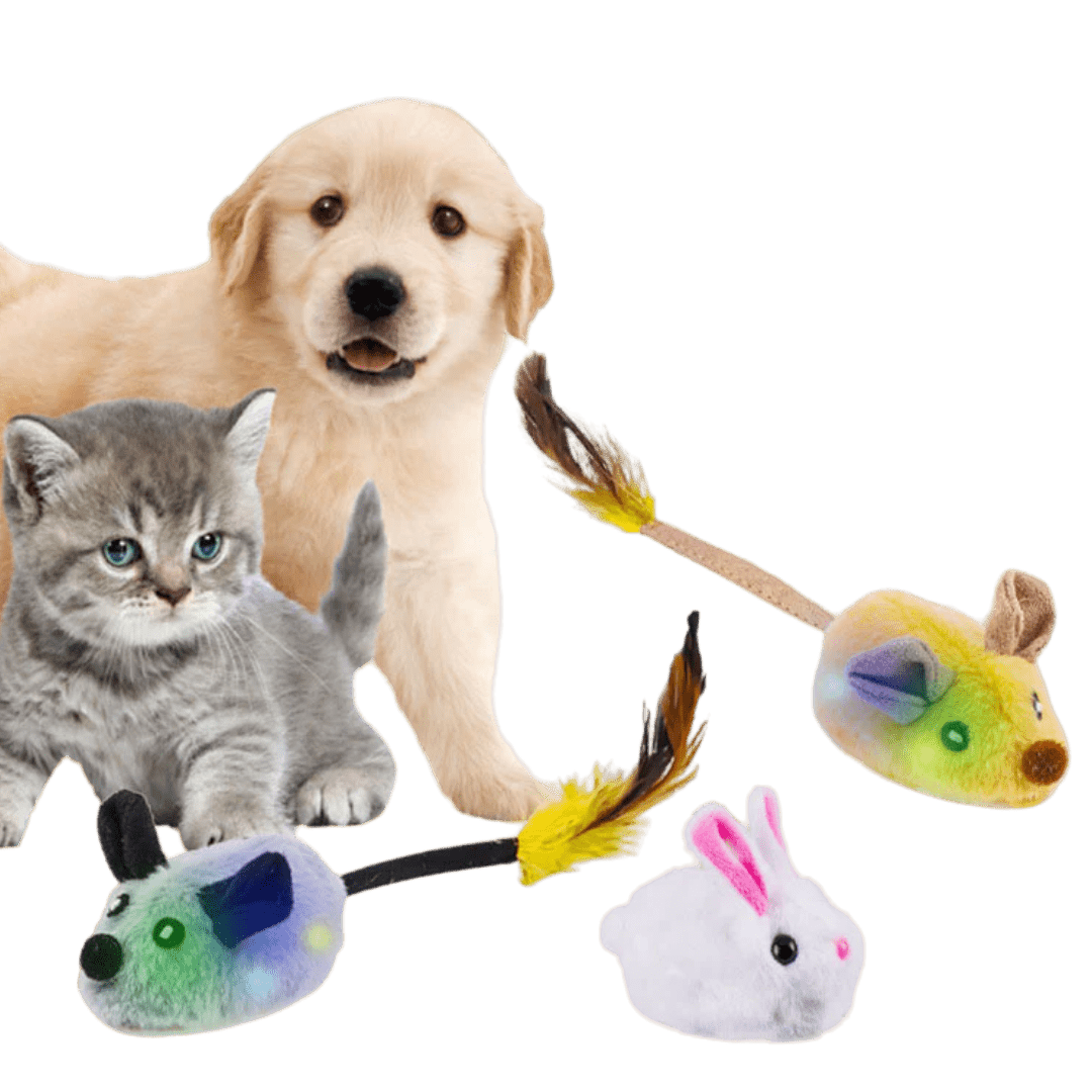 Smart Mouse Toy - MaoMao - Paws
