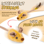 Smart Mouse Toy - MaoMao - Paws