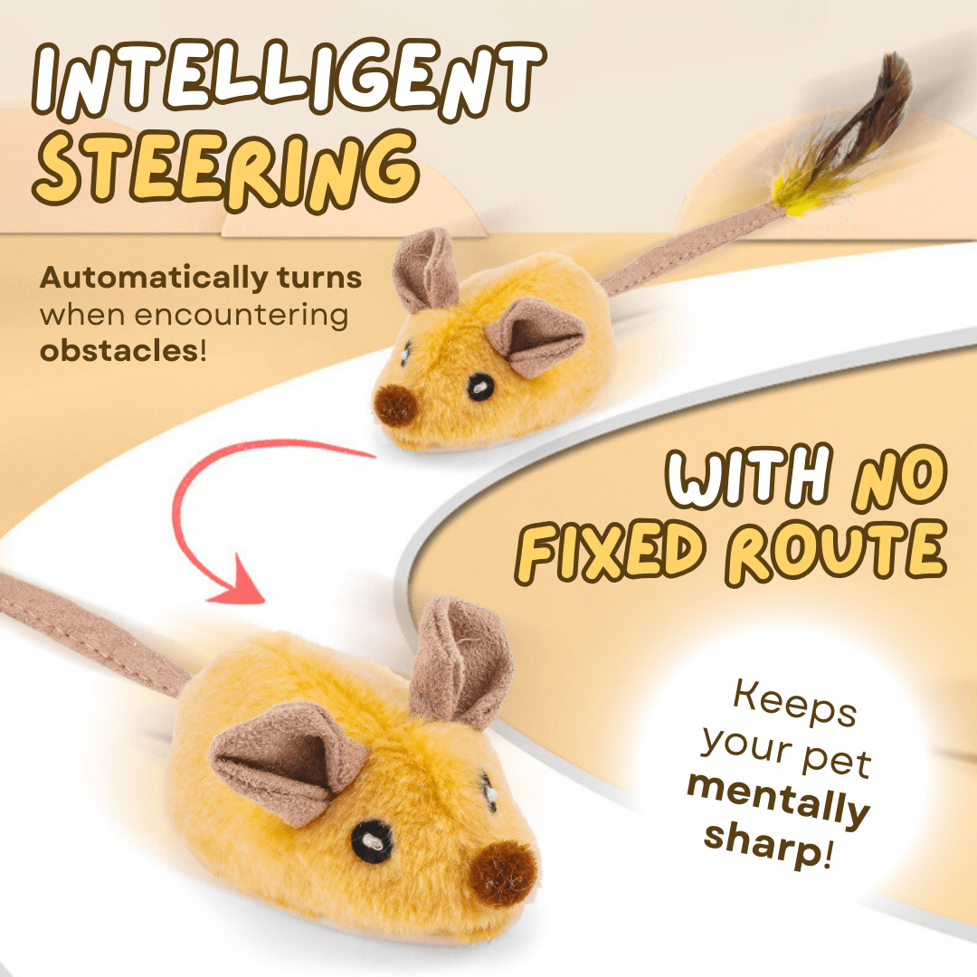 Smart Mouse Toy - MaoMao - Paws
