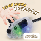 Smart Mouse Toy - MaoMao - Paws