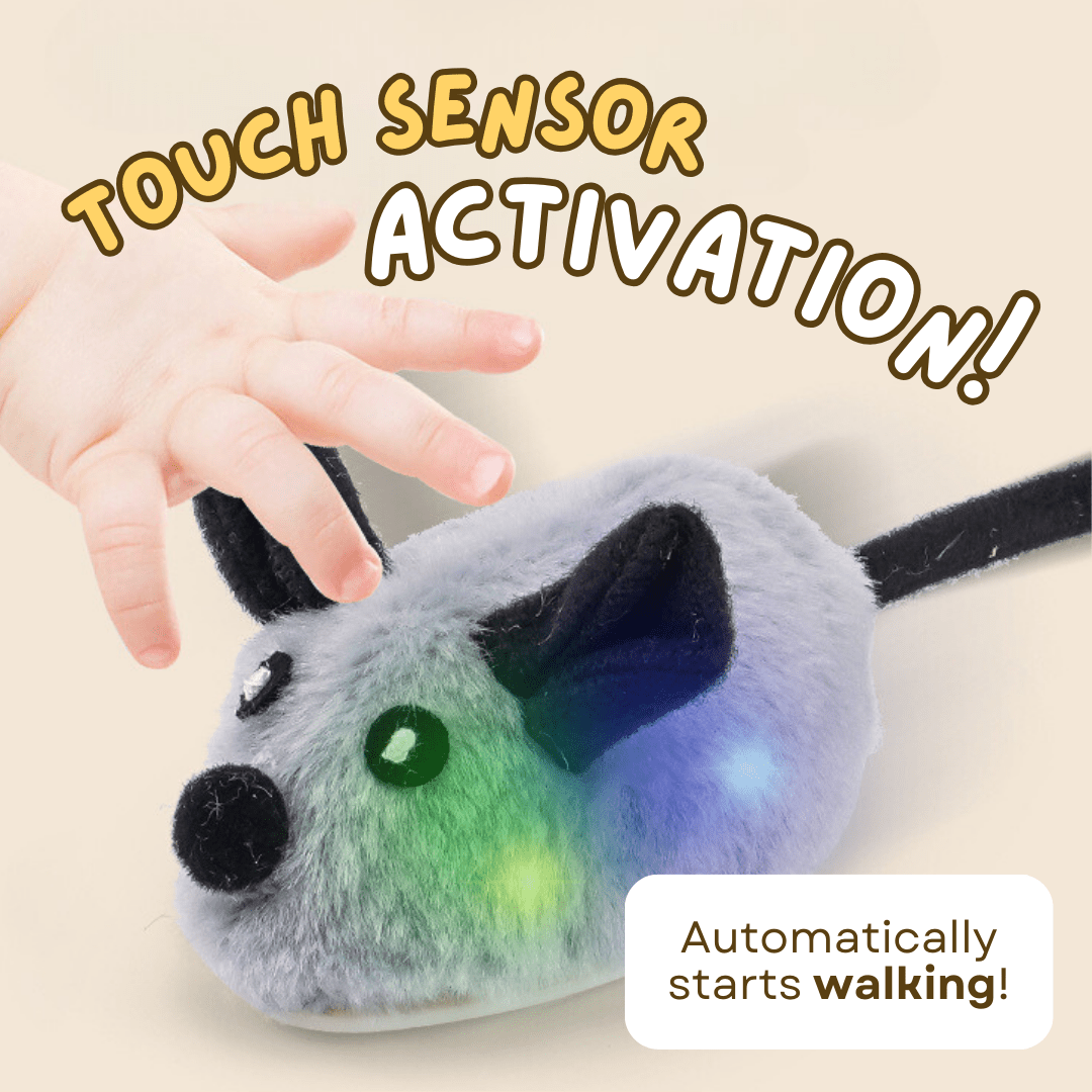 Smart Mouse Toy - MaoMao - Paws