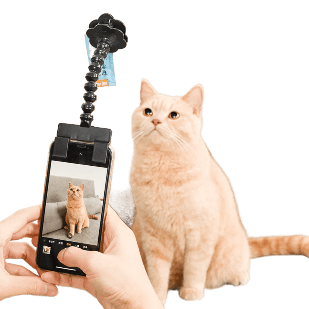 Snapcat Selfie Stick - MaoMao - Paws
