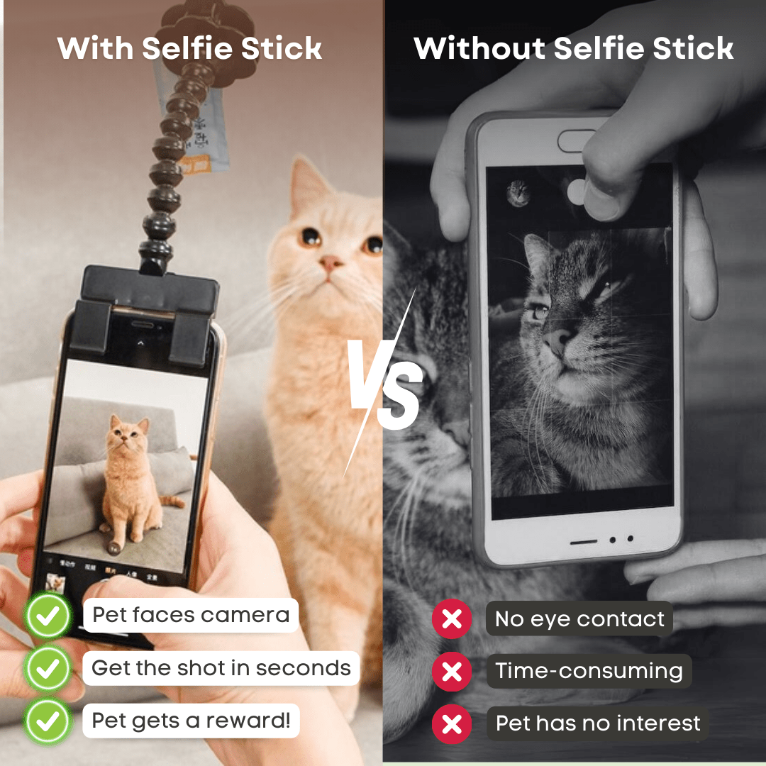 Snapcat Selfie Stick - MaoMao - Paws