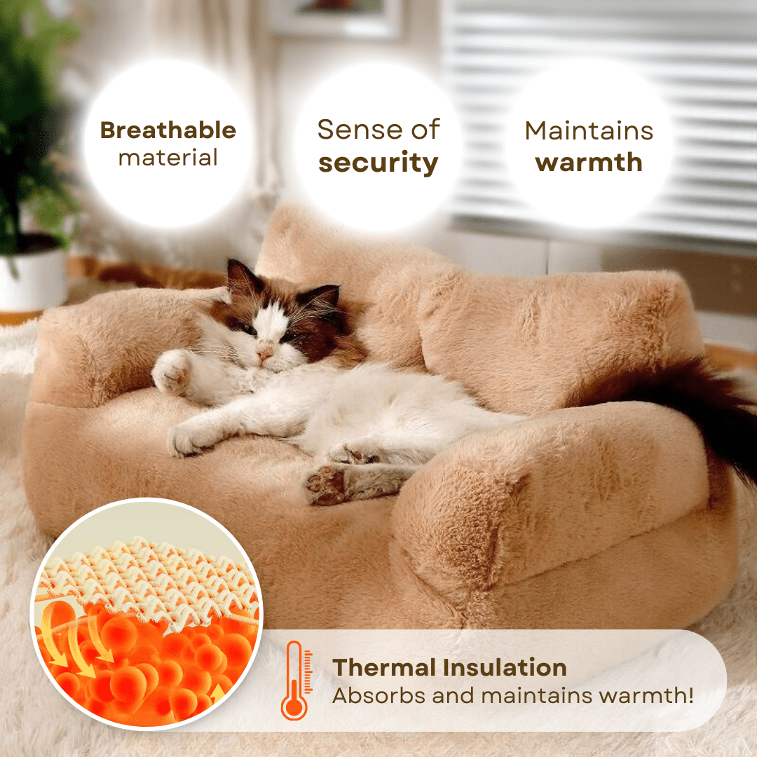 Sofa Bed - MaoMao - Paws
