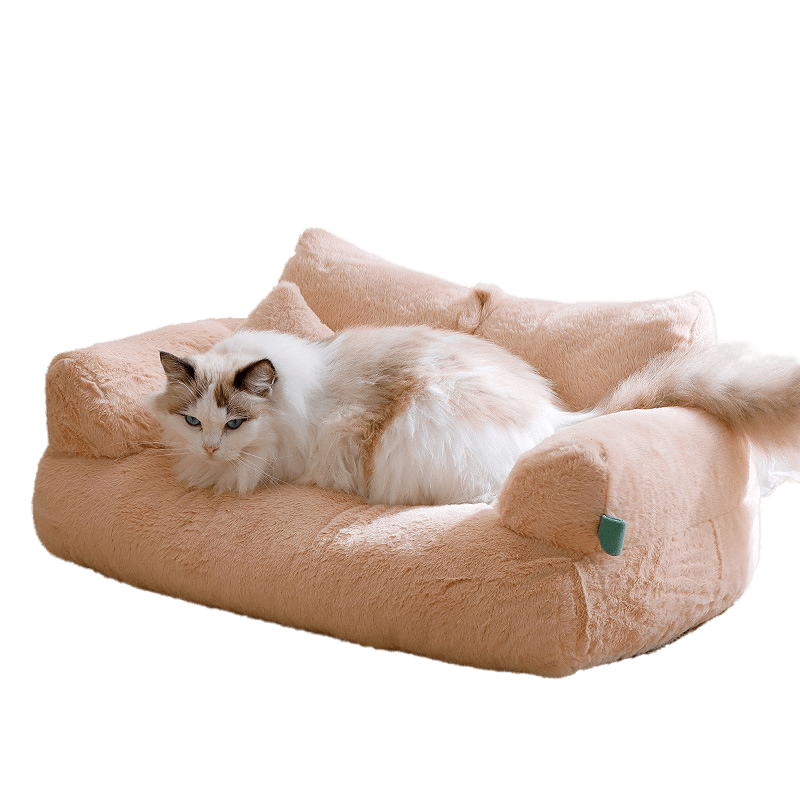 Sofa Bed - MaoMao - Paws