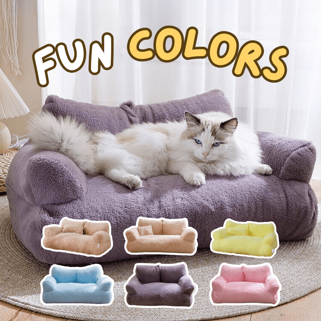 Sofa Bed - MaoMao - Paws