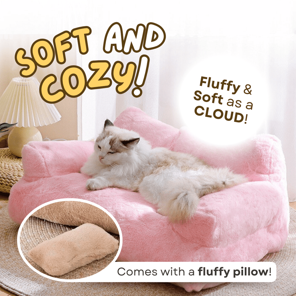 Sofa Bed - MaoMao - Paws