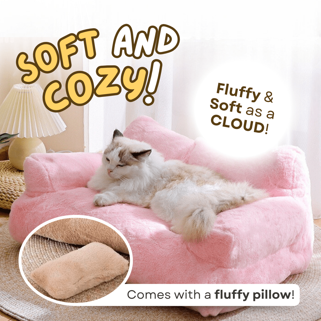 Sofa Bed - MaoMao - Paws