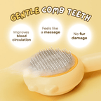 Soft Stroke Brush - MaoMao - Paws