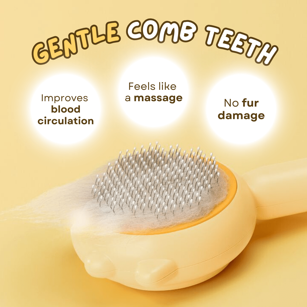 Soft Stroke Brush - MaoMao - Paws