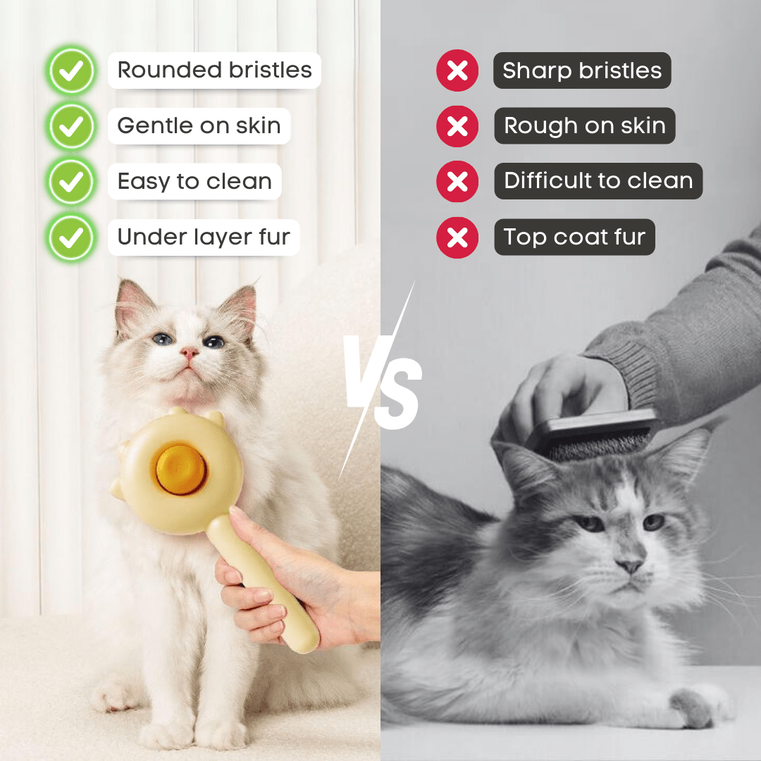 Soft Stroke Brush - MaoMao - Paws
