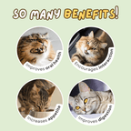 Stick - on Catnip Station - MaoMao - Paws