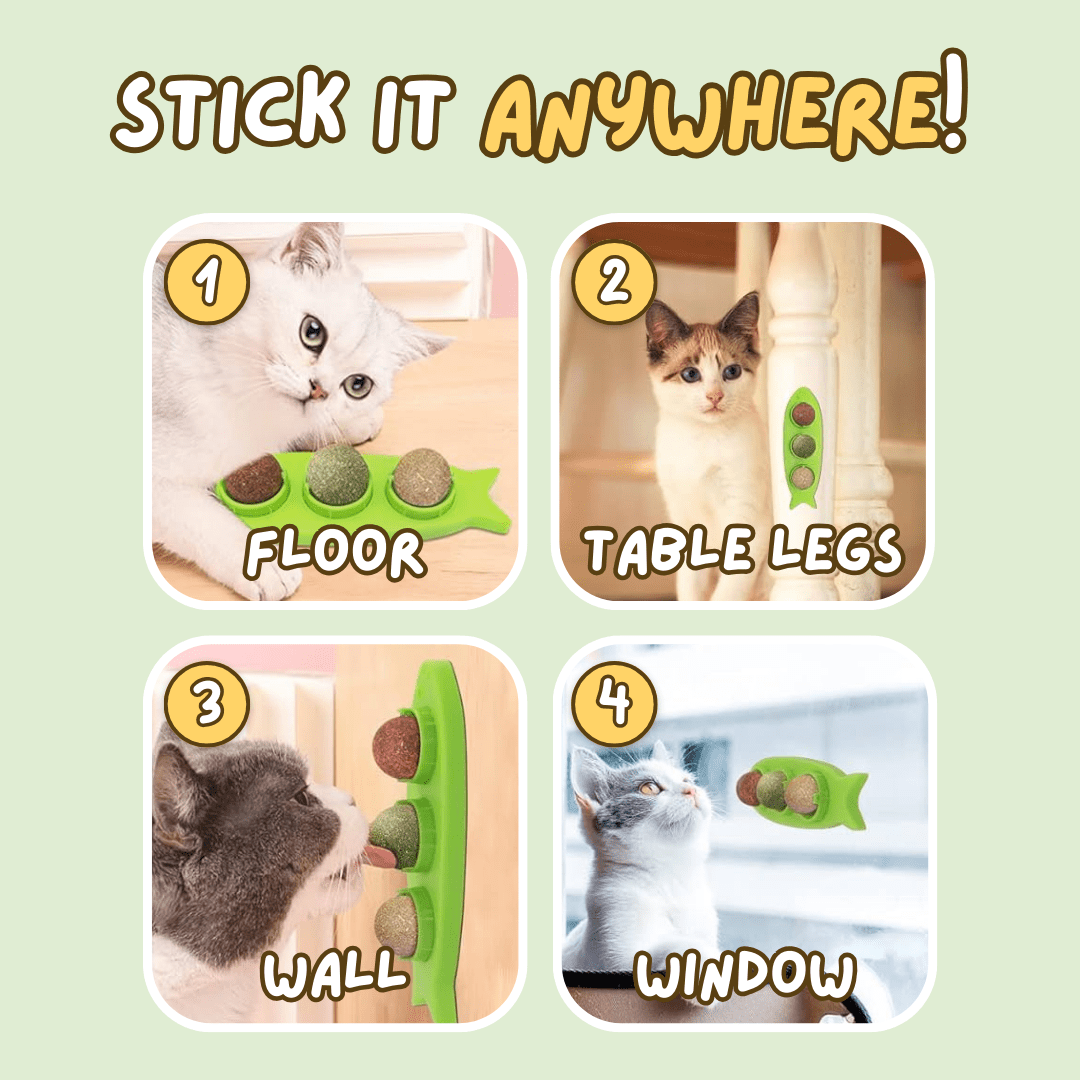 Stick - on Catnip Station - MaoMao - Paws
